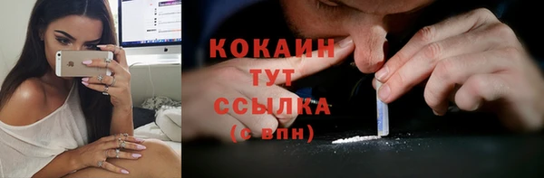 mdpv Богородск