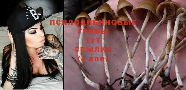 не бодяженный Верея