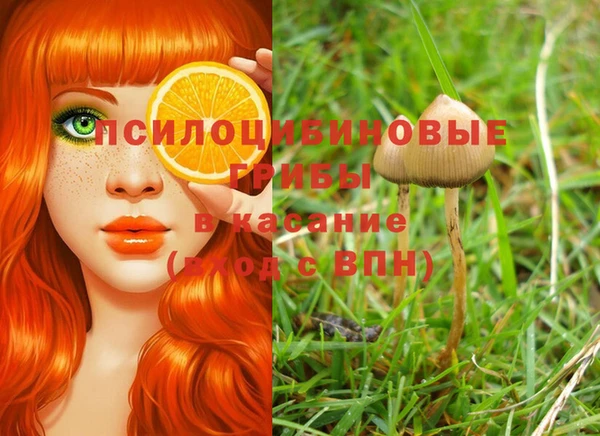 не бодяженный Верея