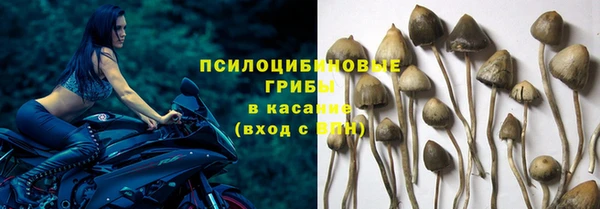 не бодяженный Верея